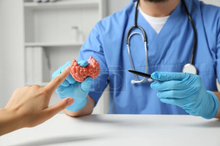 Photo for Endocrinologist showing thyroid gland model at white table in hospital and patient pointing at it, closeup - Royalty Free Image