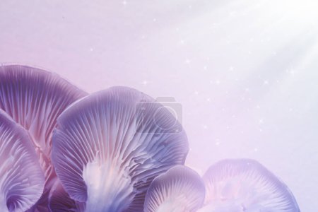 Frische Psilocybin (magische) Pilze mit Sternen auf hellem Hintergrund, Nahaufnahme. Farbe getönt