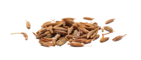 Montón de semillas de alcaravea aromática (comino persa) aisladas en blanco