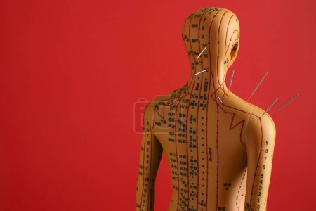 Téléchargez les photos : Acupuncture - médecine alternative. Modèle humain avec aiguilles dans la tête et l'épaule sur fond rouge, espace pour le texte - en image libre de droit