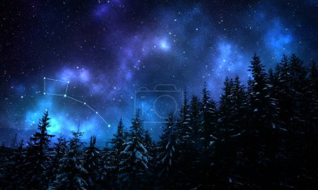 Little Bear (Ursa Minor) constellation in starry sky over conifer forest at night, low angle view