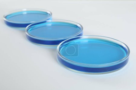 Photo for Petri dishes with light blue liquid on white background - Royalty Free Image