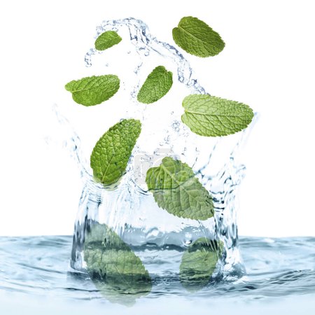 Mint leaves falling into water on white background