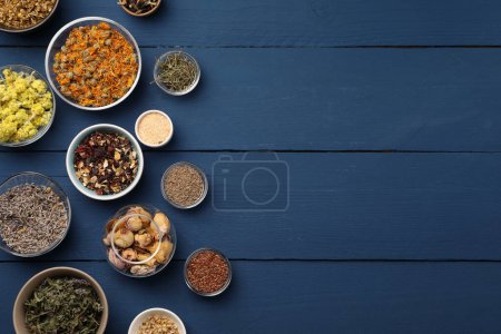 Many different dry herbs, flowers and seeds on blue wooden table, flat lay. Space for text