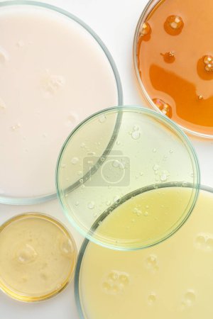 Photo for Petri dishes with different liquid samples on white background, top view - Royalty Free Image