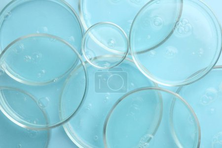 Photo for Petri dishes with liquid samples on light blue background, top view - Royalty Free Image