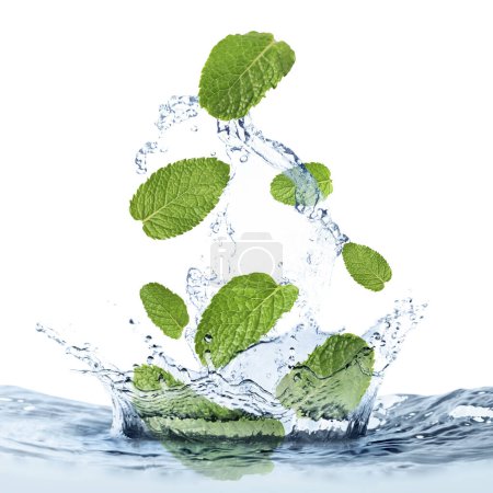 Mint leaves falling into water on white background