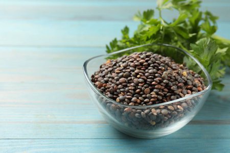 Raw lentils in bowl and parsley on light blue wooden table, closeup. Space for text