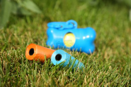 Rolls of colorful dog waste bags on green grass outdoors, selective focus