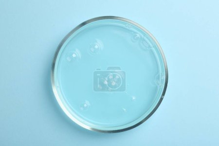 Foto de Placa Petri con muestra líquida sobre fondo azul claro, vista superior - Imagen libre de derechos
