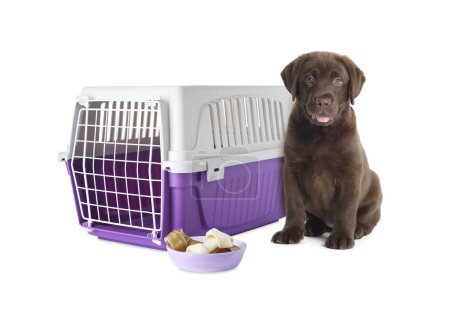 Cute chocolate Labrador Retriever puppy, pet carrier and bowl with chewing bones on white background