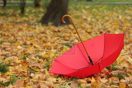 Open umbrella and fallen autumn leaves on grass in park, space for text