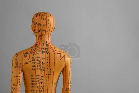 Téléchargez les photos : Modèle d'acupuncture. Mannequin avec points et lignes sur fond gris, vue arrière. Espace pour le texte - en image libre de droit