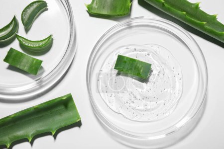 Photo for Petri dishes with cosmetic gel and cut aloe vera on white background, flat lay - Royalty Free Image