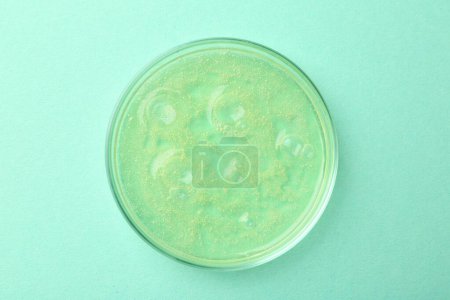 Foto de Placa Petri con muestra de líquido de color sobre fondo azul claro, vista superior - Imagen libre de derechos