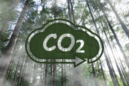 Konzept der klaren Luft. CO2-Inschrift in der Abbildung der Wolke mit Pfeil und schönen grünen Bäumen, Ansicht im niedrigen Winkel