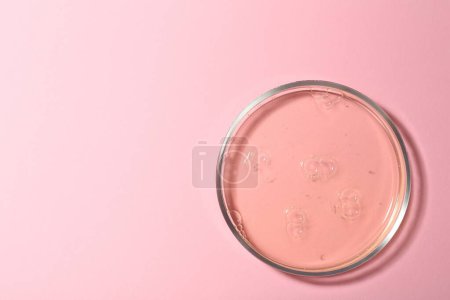 Foto de Placa Petri con muestra líquida sobre fondo rosa, vista superior. Espacio para texto - Imagen libre de derechos