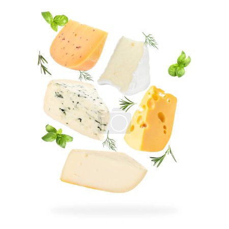 Téléchargez les photos : Différents types de fromage, basilic, aneth et romarin tombant sur fond blanc - en image libre de droit