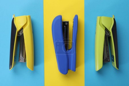 Bright staplers on color background, flat lay