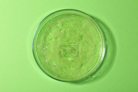 Foto de Placa Petri con muestra líquida sobre fondo verde, vista superior - Imagen libre de derechos