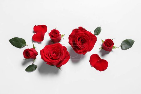 Foto de Hermosas rosas rojas y pétalos sobre fondo blanco, la puesta plana - Imagen libre de derechos