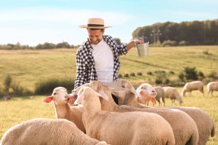 Smiling farmer with bucket feeding animals on pasture