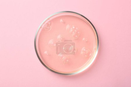 Foto de Placa Petri con muestra líquida sobre fondo rosa, vista superior - Imagen libre de derechos