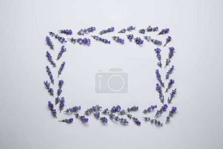 Photo for Frame of beautiful aromatic lavender flowers on white background, flat lay. Space for text - Royalty Free Image