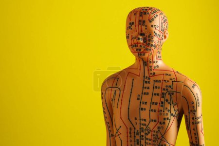 Téléchargez les photos : Modèle d'acupuncture. Mannequin avec points et lignes sur fond jaune, espace pour le texte - en image libre de droit