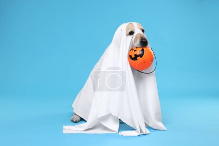 Foto de Lindo perro Labrador Retriever disfrazado de fantasma con cubo de Halloween sobre fondo azul claro - Imagen libre de derechos