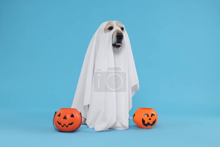 Cute Labrador Retriever dog wearing ghost costume with Halloween buckets on light blue background