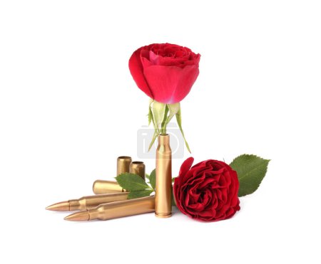 Bullets and cartridge cases with beautiful rose flowers isolated on white