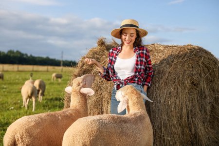 Smiling woman and sheep near hay bale on animal farm