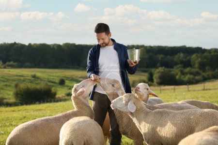 Hombre sonriente con canasta alimentando ovejas en el pasto en la granja