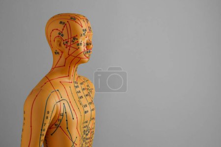 Téléchargez les photos : Modèle d'acupuncture. Mannequin avec points et lignes sur fond gris, espace pour le texte - en image libre de droit