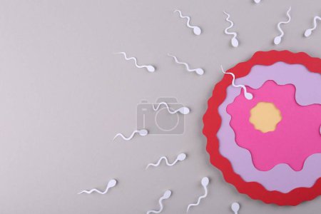 Foto de Concepto de fertilización. Células de esperma nadando hacia óvulos sobre fondo gris, vista superior con espacio para texto - Imagen libre de derechos