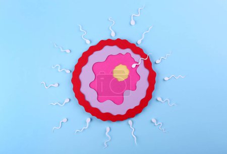 Fertilization concept. Sperm cells swimming towards egg cell on light blue background, top view