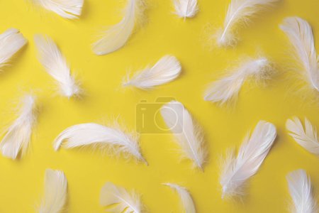 Photo for Many fluffy bird feathers on yellow background, flat lay - Royalty Free Image