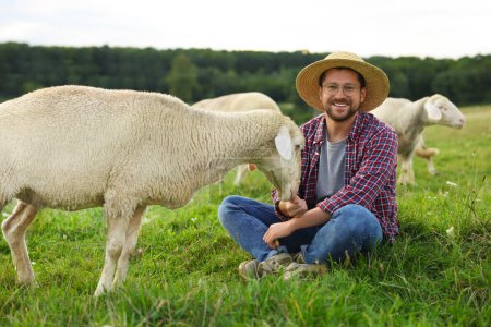 Hombre sonriente alimentando ovejas en pastos en la granja