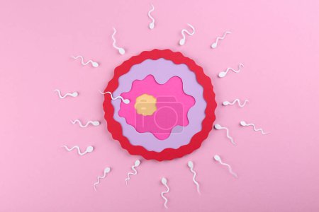Foto de Concepto de fertilización. Células de esperma nadando hacia el óvulo sobre fondo rosa, vista superior - Imagen libre de derechos