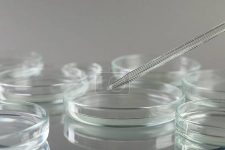 Photo for Pipette over petri dish on mirror surface, closeup - Royalty Free Image