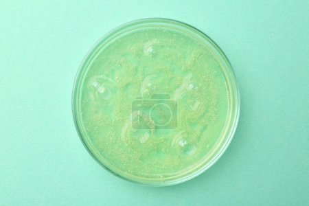Foto de Placa Petri con muestra de líquido de color sobre fondo azul claro, vista superior - Imagen libre de derechos