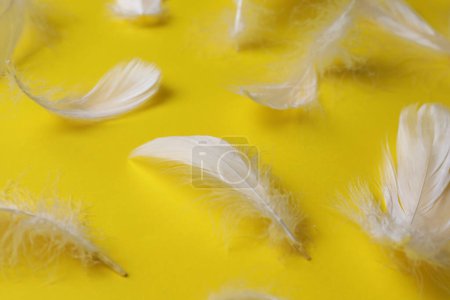 Photo for Many fluffy bird feathers on yellow background, closeup - Royalty Free Image