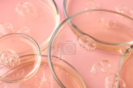 Foto de Platos Petri con muestras líquidas sobre fondo rosa, primer plano - Imagen libre de derechos