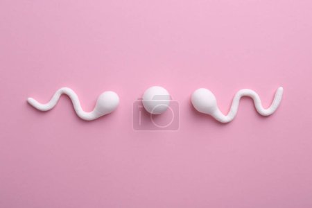 Foto de Concepto de fertilización. Células de esperma nadando hacia el óvulo sobre fondo rosa, vista superior - Imagen libre de derechos