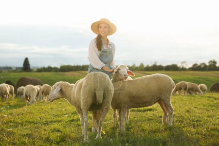 Mujer sonriente acariciando ovejas en el pasto en la granja