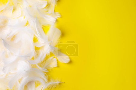 Photo for Many fluffy bird feathers on yellow background, flat lay. Space for text - Royalty Free Image
