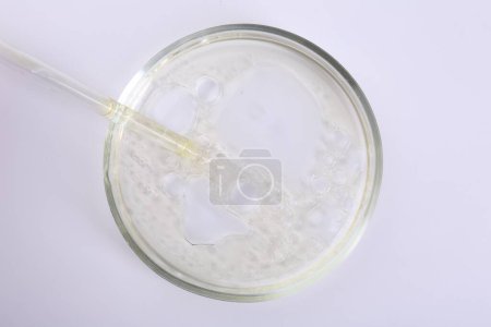 Foto de Placa Petri con muestra líquida y pipeta aislada en blanco, vista superior - Imagen libre de derechos