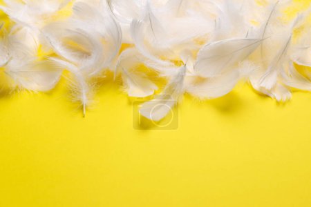 Photo for Many fluffy bird feathers on yellow background, flat lay. Space for text - Royalty Free Image