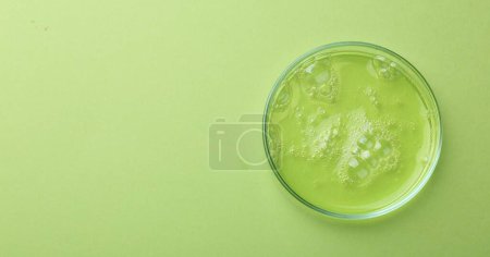 Foto de Placa Petri con muestra líquida sobre fondo verde, vista superior. Espacio para texto - Imagen libre de derechos
